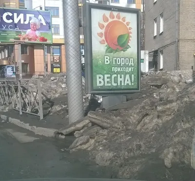 Крымская весна»: в Новосибирске отметили годовщину воссоединения Крыма с  Россией