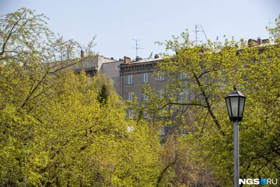 Дождливый март и жаркий май: какая весна ожидает новосибирцев в 2023 году -  Новости Новосибирска - om1.ru