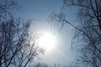 В Новосибирске наступает астрономическая весна