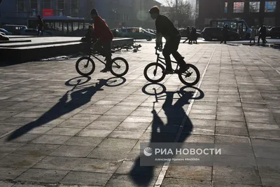 В Новосибирске зацвели первые цветы и распускаются листья - 17 апреля 2020  - НГС