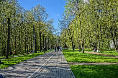 Весна. Девушка. Парк. | Весенняя фотография, Фотосессия, Фотография на  природе