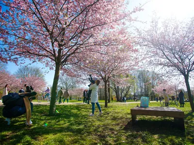 Побывала в самом фотографируемом месте на Кубани. Весна в парке Галицкого.  За что местные так любят парк и его создателя | НА СВОИХ ДВОИХ - Алёна И  Женя | Дзен