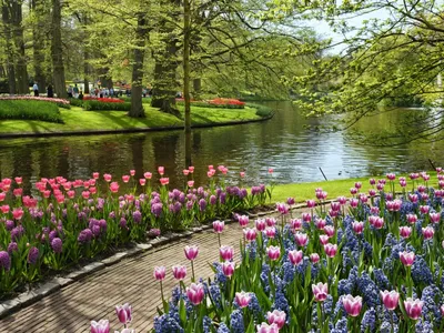 Онлайн пазл «Весна в парке»