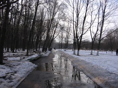 Весна в харьковском парке Горького (видео)