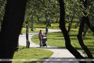 Купить картину Весна в парке в Москве от художника Конин Анатолий