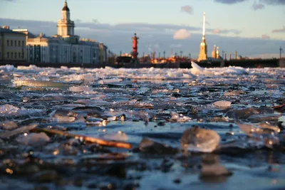 Весна в санкт петербурге фото фотографии