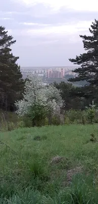 Весна в сибири фото фотографии