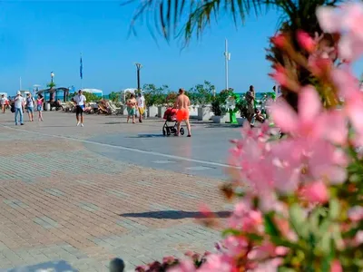 Весна в Сочи - Фото в Краснодарский край Большой Сочи Адлер