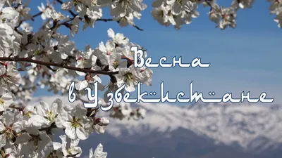 Не случившаяся весна