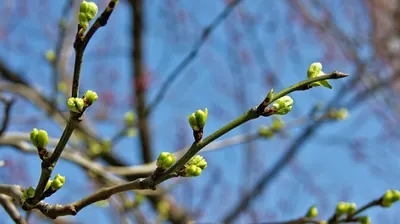 Spring in Uzbekistan. | Uzbekistan Travel