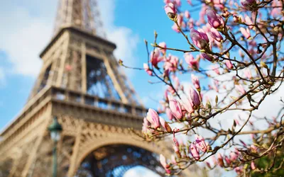 башня времени весны Eiffel Франции Paris Стоковое Изображение - изображение  насчитывающей рассвет, утро: 21887983