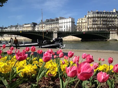 Парижская весна | Пикабу