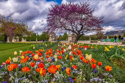 Франция весной: куда поехать и что посмотреть весной во Франции | Франция |  Постила