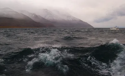 В море ветер, в море буря, В …» — создано в Шедевруме