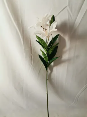 Ветка лилии, 65 см, голова 15 см, 2 цветка + 1 бутон. - купить оптом и в  розницу в Нижнем Новгороде | ТК Фортуна