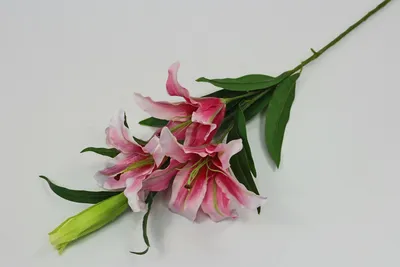 В714 Ветка лилии - Сиела-искусственные цветы. Купить оптом. Siela