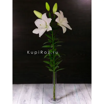 Искусственное растение - Лилии ветка латексные 1 м белые, цена 433,4 руб.,  артикул 34311-4