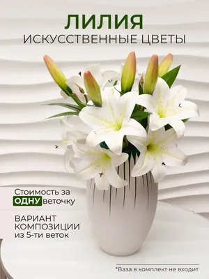 Купить белую лилию поштучно с доставкой по Киеву №16 | Низкая цена, быстрая  доставка.