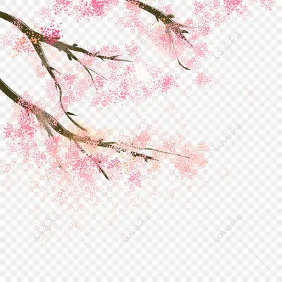 Ветка сакуры изображение_Фото номер 400996020_PNG Формат  изображения_ru.lovepik.com