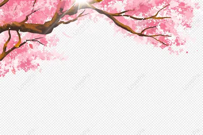 Ветка сакуры изображение_Фото номер 401027697_PNG Формат  изображения_ru.lovepik.com