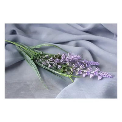 Купить Веточка лаванды патина, длина веточки с цветами - 30 см, 1 ветка в  интернет-магазине