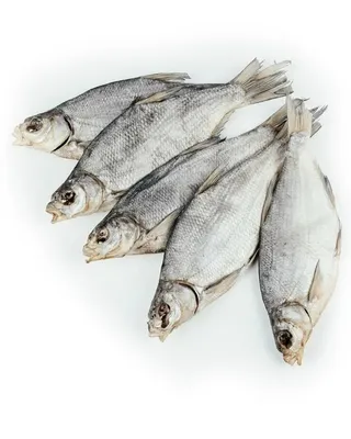 Вяленый лещ икряной - Fishop - магазин рыбы и морепродуктов