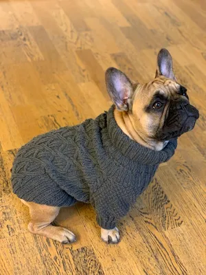 Warm Sweater For Dog Turtleneck Winter Dog Clothes Puppy Knitted Clothing  Cat Kitten Costume For Small Dogs Chihuahua Outfit YZL