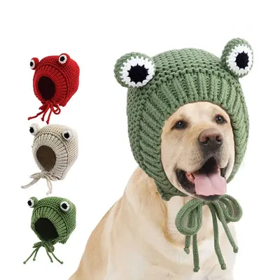 Вязаные шапки для собак фото фотографии