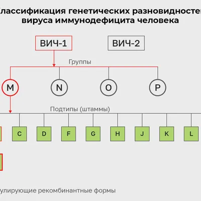 Российские ученые создали прототип препарата для полного излечения ВИЧ -  Газета.Ru | Новости