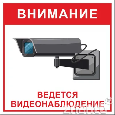 Наклейка большая «Ведется видеонаблюдение» по цене 65 ₽/шт. купить в Москве  в интернет-магазине Леруа Мерлен