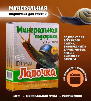 Взрослые улитки ахатины, архахатина, древесные виды: 45 грн. - Другие  животные Кривой Рог на Olx