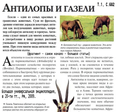 Постер Printstar купить по выгодной цене в интернет-магазине OZON  (475119118)