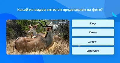 Planet Zoo — Криворогая антилопа - новые виды / Существа и монстры /  Персонажи и игроки
