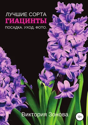 Александр Матанцев. Гиацинты: разные цвета и сорта, посадка и уход |  AliExpress
