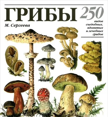 Грибы. 250 видов съедобных, ядовитых и лечебных грибов - купить в Торговый  Дом БММ, цена на Мегамаркет