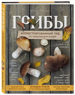 Грибы Карелии | Алавойне
