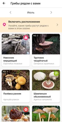 Agraroom. Экосистема сельского хозяйства