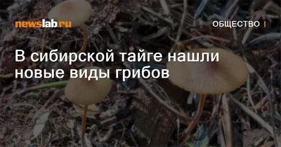 Agraroom. Экосистема сельского хозяйства