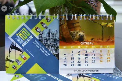 27 видов и форматов календарей (100 фото)