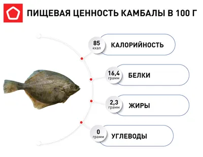 Камбала. Описание, интересные факты, разновидности | Пикабу