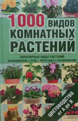 Аглаонема, Маранта GRINOTEKA Набор : Кротон, Марант , Аглаонема, 12 дм, 3  шт - купить по выгодной цене в интернет-магазине OZON (693227622)