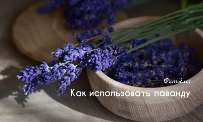 Четыре вида! Лаванда купить в интернет-магазине Ярмарка Мастеров по цене 35  ₽ – TCKFIRU | Салфетки для декупажа, Москва - доставка по России