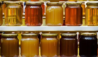 Алтайский мед - натуральные витамины для вашего иммунитета!