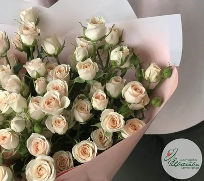 25 красных poз сорта Рэд Наоми (Голландия) - Доставкой цветов в Москве!  29431 товаров! Цены от 487 руб. Цветы Тут