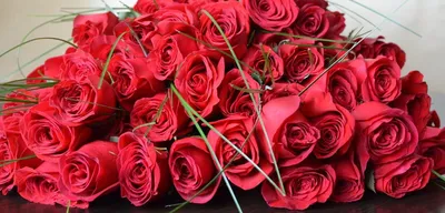 Купить саженцы роз в Москве и Подмосковье в интернет-магазине - садовый  центр Garden Edem