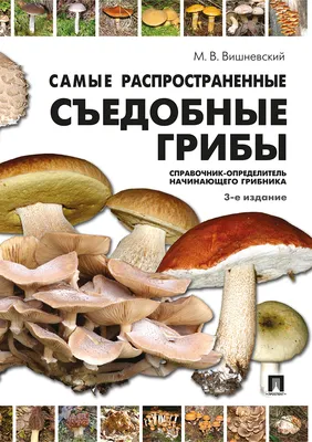 Виды съедобных грибов фото фотографии