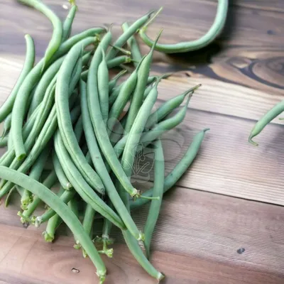 Спаржевая фасоль Ягуар / Jaguar 15 грамм (Pop Vriend Seeds) Семена спаржевой  фасоли | Интернет магазин Агро-Качество