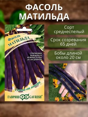 1A00000003430 - купить по выгодным ценам в интернет-магазине OZON  (1211477665)