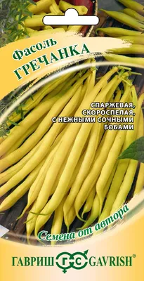 Почему нужно не забыть посадить фасоль на огороде | 70 это не возраст | Дзен