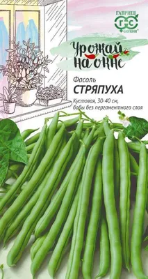 И фасоль, и спаржа. Советы по выращиванию спаржевой фасоли